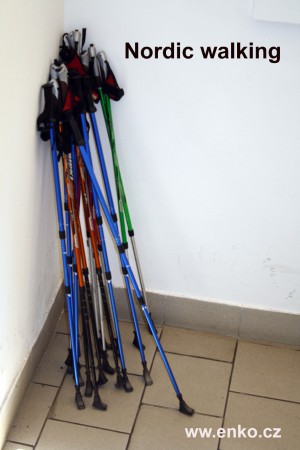 Zapůjčení holí NW zdarma